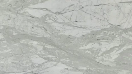 Catalog image for CALACATTA BELLA POLISHED MARBLE 2CM
