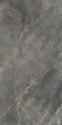 Catalog image for FIOR DI BOSCO NATURAL PORCELAIN 12MM A 128X64