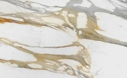 Catalog image for CALACATTA BORGHINI POLISHED PORCELAIN 12MM A 128X64