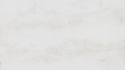 Catalog image for BIANCO RHINO HONED MARBLE 2CM