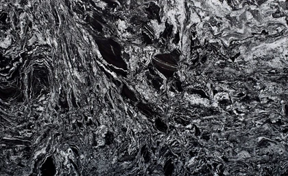 Black Forest — supplier product image