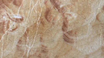 Catalog image for HONEY POLISHED ONYX 2CM