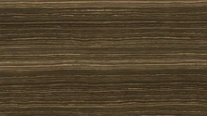 Catalog image for ERAMOSA LUC POLISHED PORCELAIN 6MM 120X60