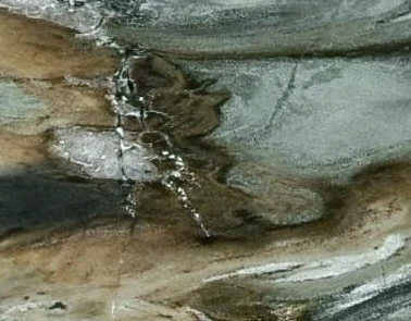 Catalog image for AMAZON REEF DEEP LEATHER QUARTZITE 2CM