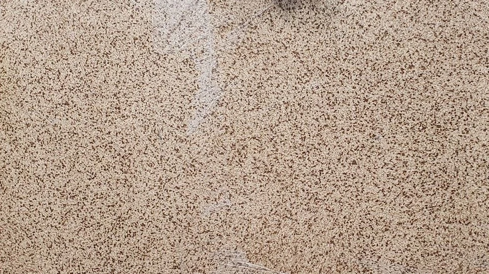 Catalog image for JAVA POLISHED ME QUARTZ 3CM JUMBO