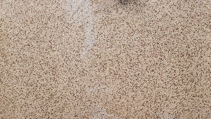 Catalog image for JAVA POLISHED ME QUARTZ 3CM JUMBO