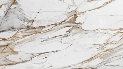 Catalog image for CALACATTA MACCHIA LUX POLISHED PORCELAIN 12MM B 128X64