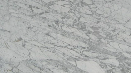Catalog image for VENATINO POLISHED MARBLE 2CM