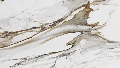 Catalog image for MACCHIA VECCHIA ANTICA POLISHED PORCELAIN 12MM B 126X63