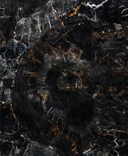 Petrified Wood Black — official supplier catalog image