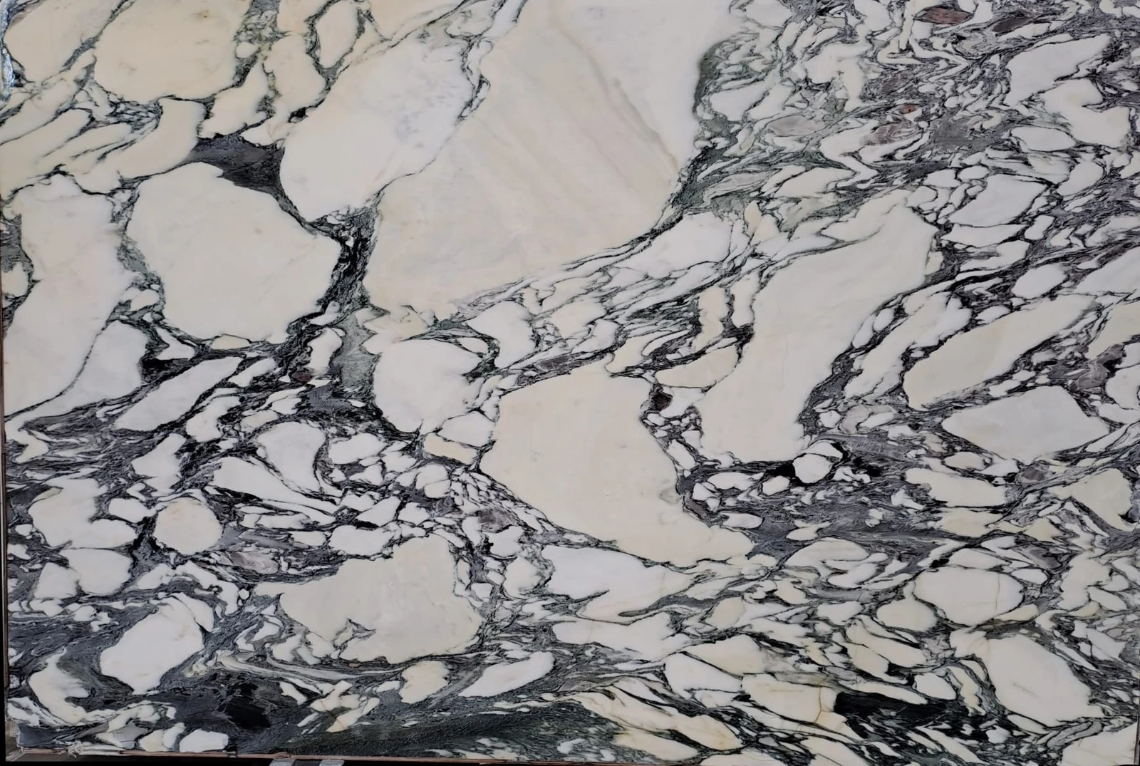 CALACATA VIOLA MARBLE 2CM HONED — supplier catalog image