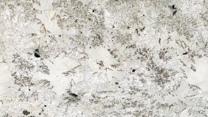 Catalog image for ALPINUS POLISHED GRANITE 2CM