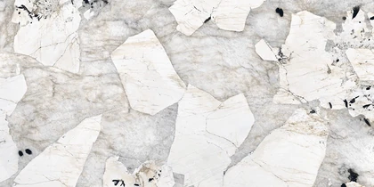 Catalog image for EPIC BLANCHE NATURAL PORCELAIN 12MM A 126X63