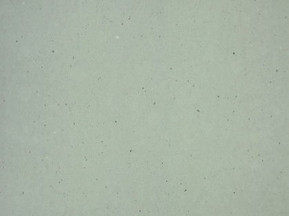 Ammonite Grey Revera quartz catalog swatch