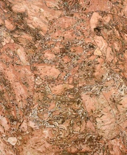 Jasper Crocodile — official supplier catalog image