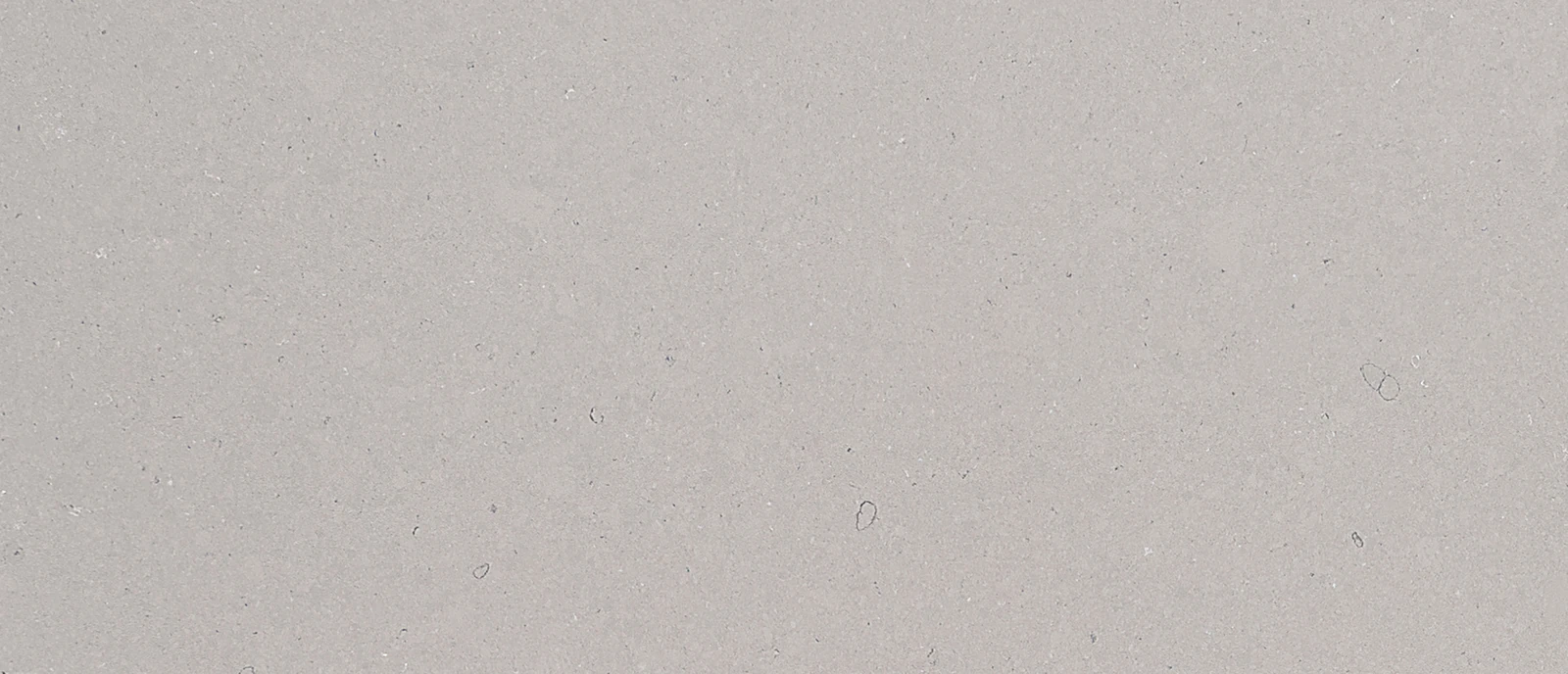 Fossil Gray Matte Quartz Sample