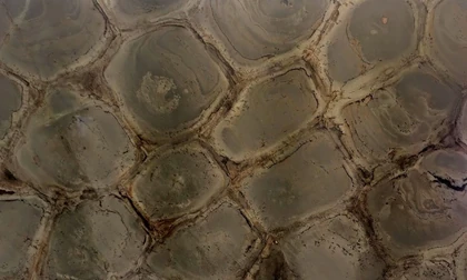 Catalog image for SPINELA POLISHED QUARTZITE 2CM