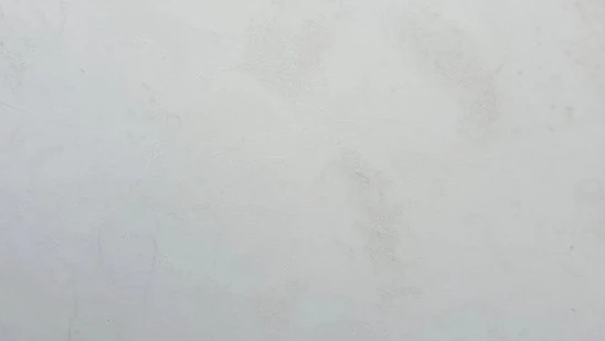 Catalog image for BIANCO RHINO POLISHED MARBLE 2CM