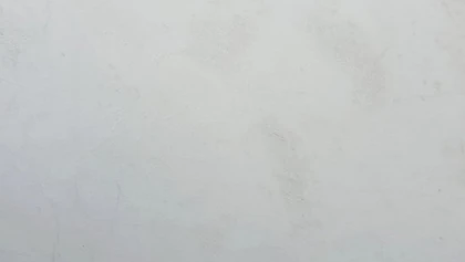 Catalog image for BIANCO RHINO POLISHED MARBLE 2CM