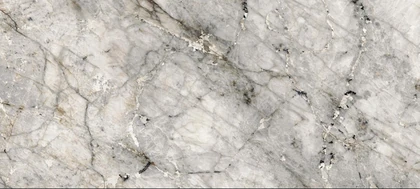 Catalog image for LAGUNA BLANCA POLISHED PORCELAIN 12MM A 128X64