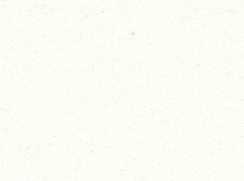 Polar White Revera quartz catalog swatch