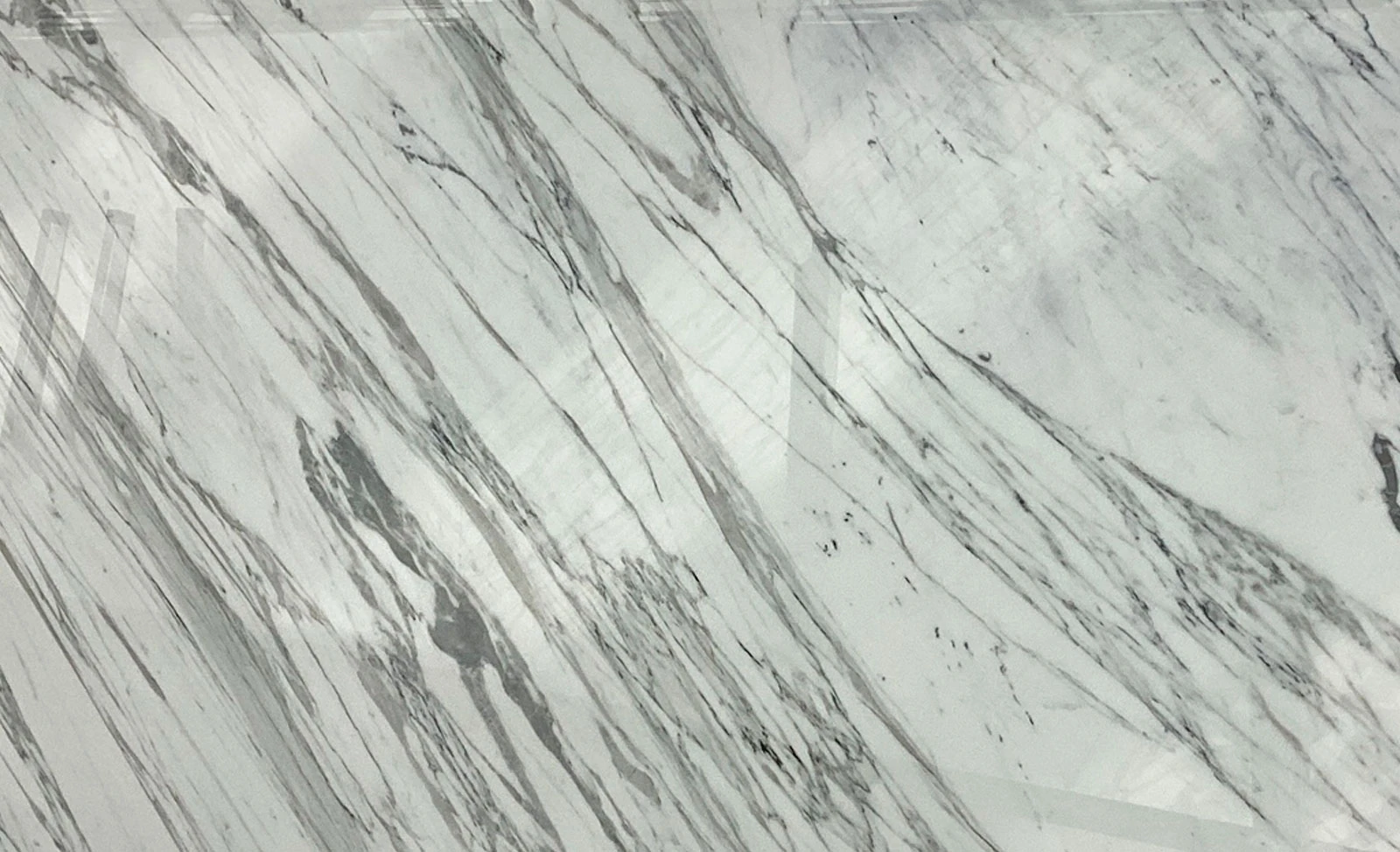 Calacata White — supplier product image