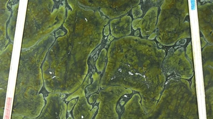 Catalog image for VITORIA REGIA VULCANO QUARTZITE 2CM