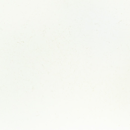 Blanc Vittorio Nouvel mineral-surface catalog swatch