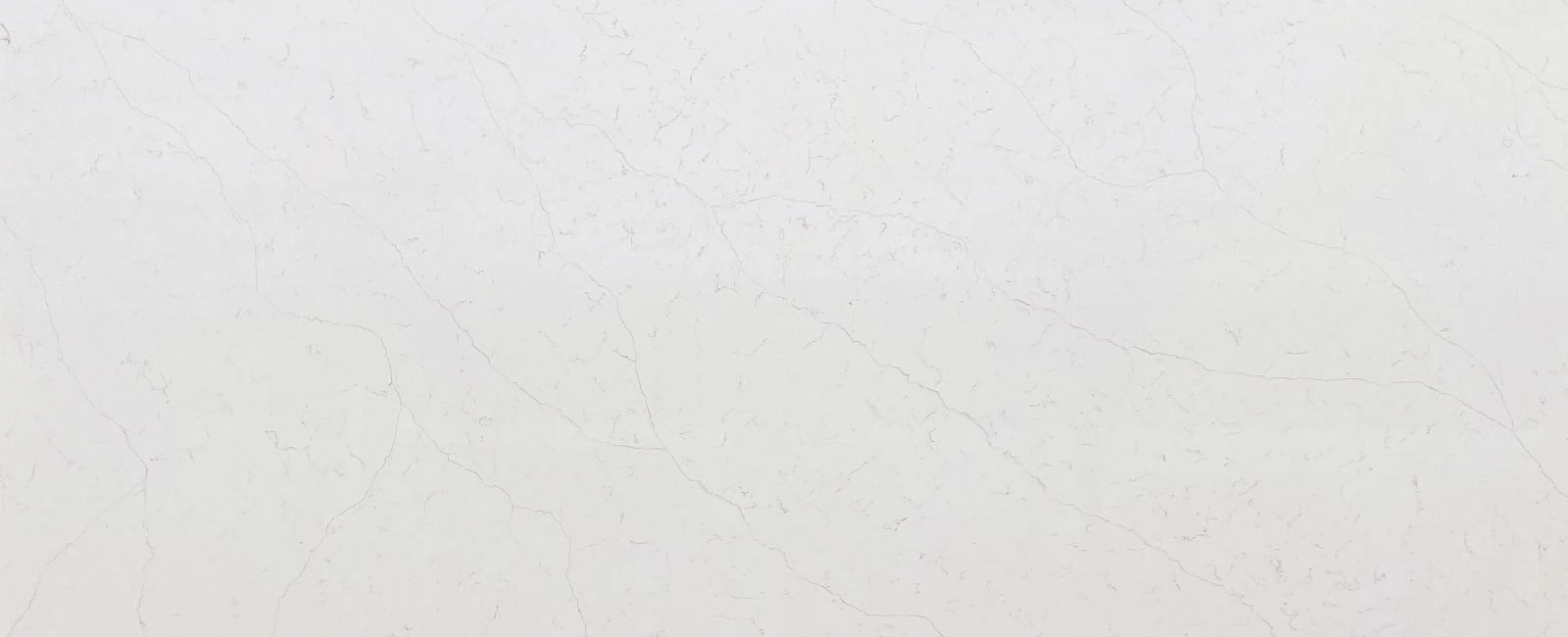New Venatino Grey – Full Slab
