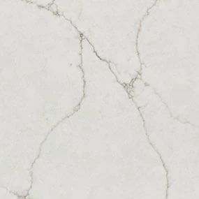 Calacatta Valentin Q Surface Sample