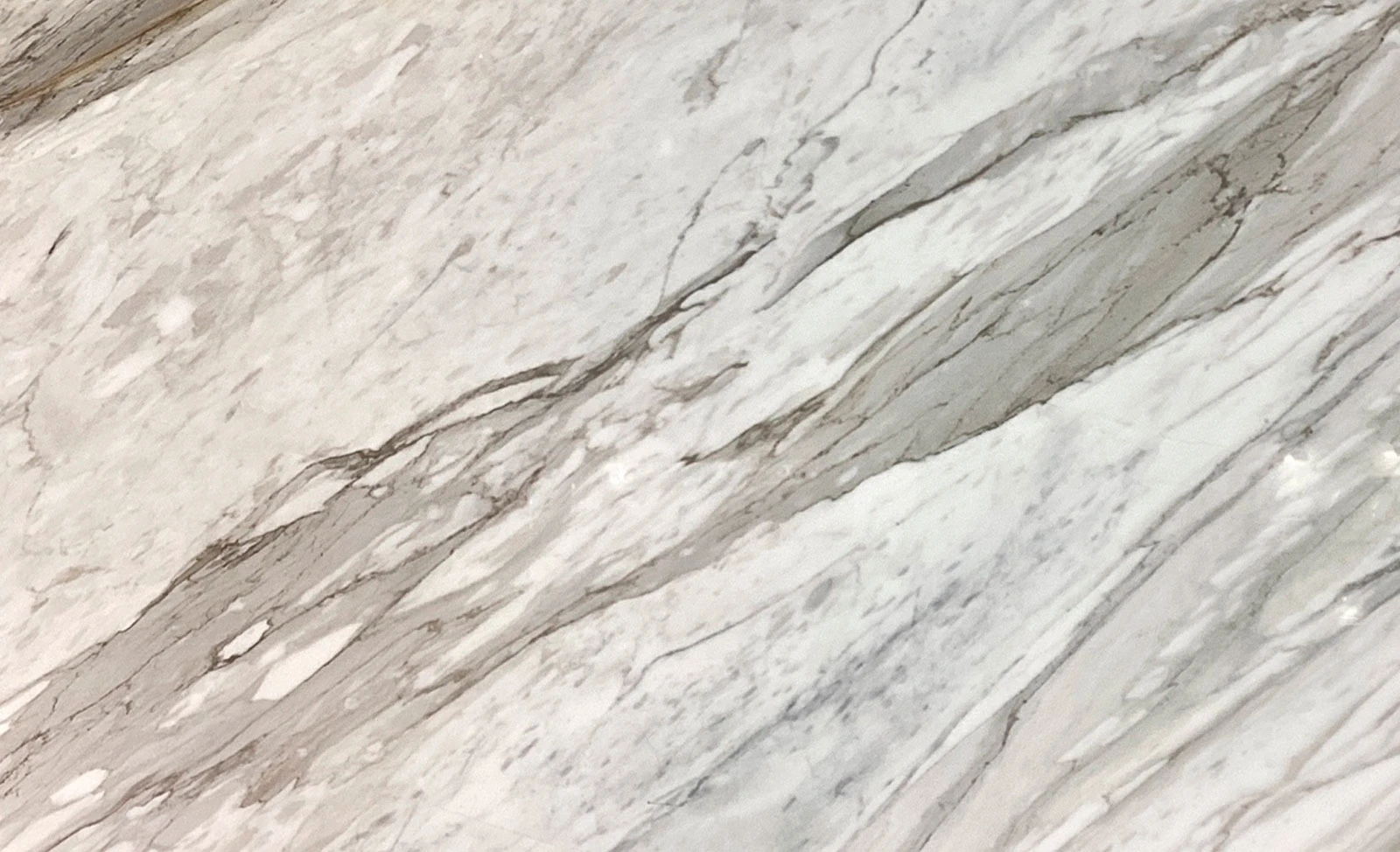 Borghini — supplier product image
