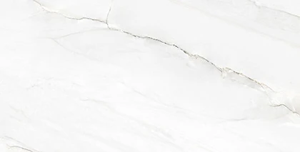 Calacatta Montasia Polished