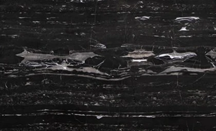Portoro Black Extra — supplier product image