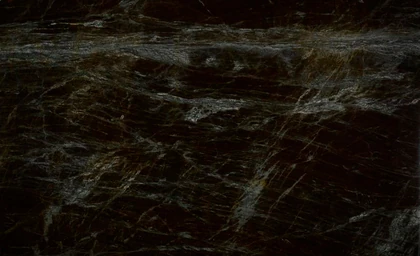 Madeirus — supplier product image