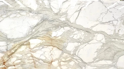 Catalog image for CALACATTA MACCHIA VECCHIA POLISHED MARBLE 2CM