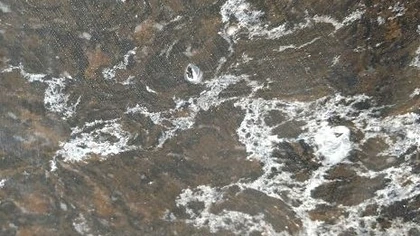 Catalog image for COSMIC BROWN POLISHED NOVA 2CM STD 120X56.5