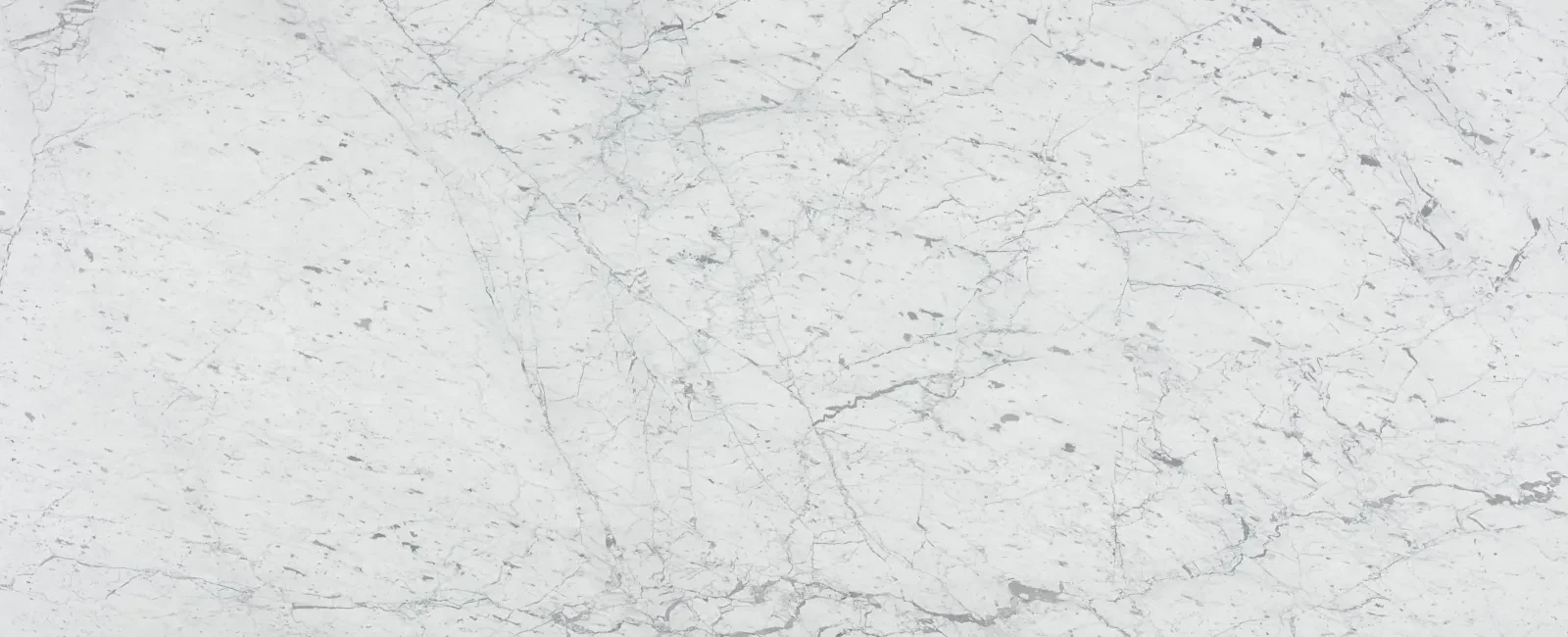 Bianco Venatino Honed