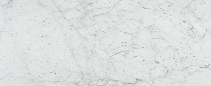 Bianco Venatino Honed