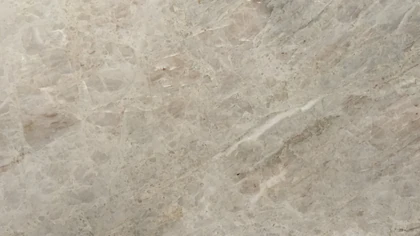Catalog image for ELEGANCE WHITE POLISHED GRANITE 2CM