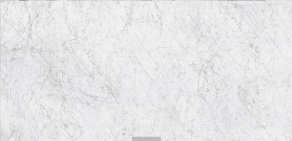 ANTOLINI TECH BIANCO C 12MM JUMBO 126X63 — supplier catalog image