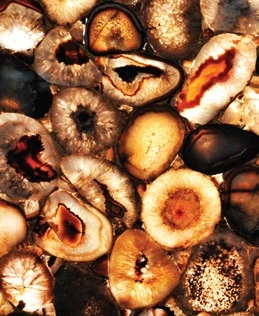 Agate Chocolate — official supplier catalog image