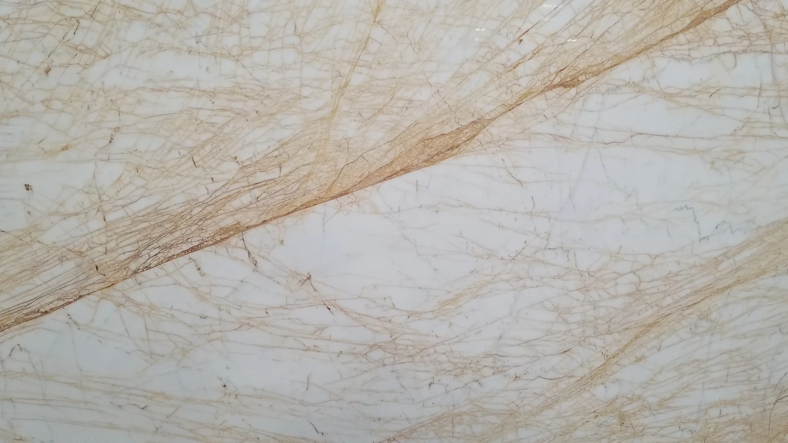 Catalog image for GOLDEN SPIDER MARBLE 1.65CM
