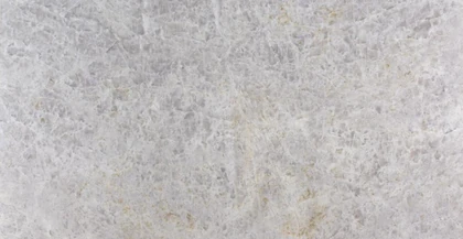 Catalog image for FROST CRYSTAL POLISHED QUARTZITE 2CM