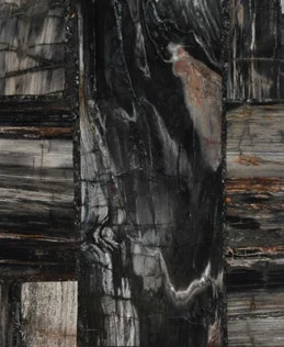 Petrified Wood Vintage — official supplier catalog image