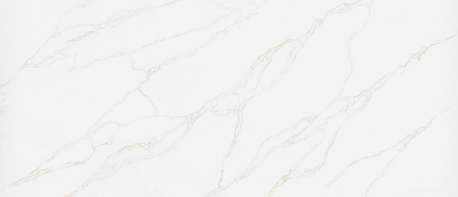 Calacatta Rivessa Q Surface Slab