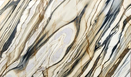 CALACATA OYSTER 2CM POLISHED — supplier catalog image