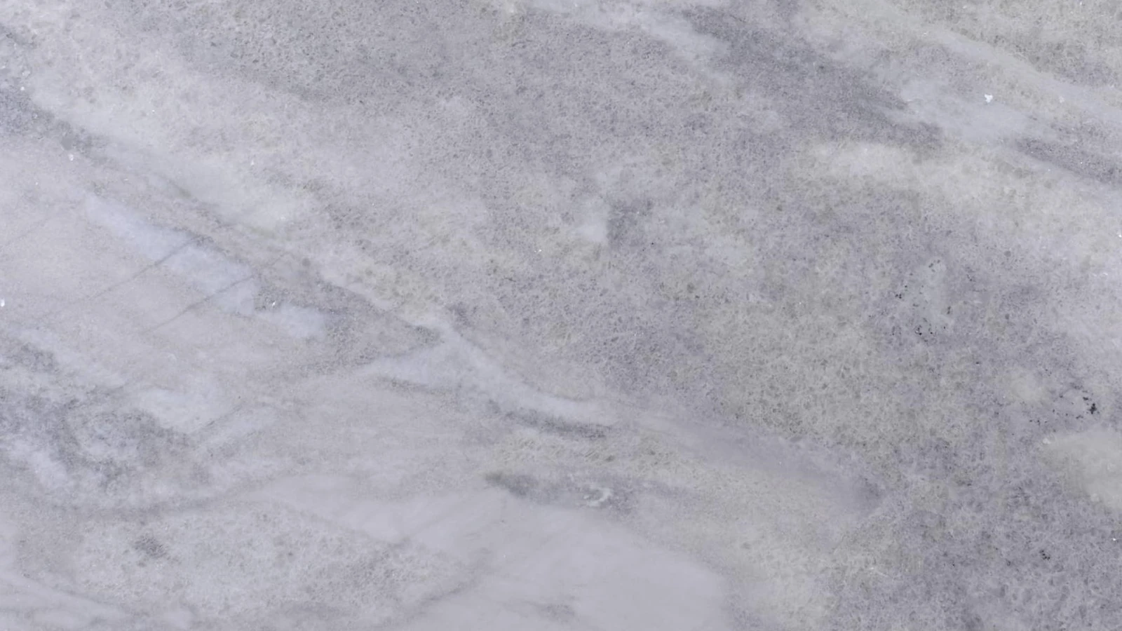 Catalog image for POLARIS LEATHER MARBLE 2CM