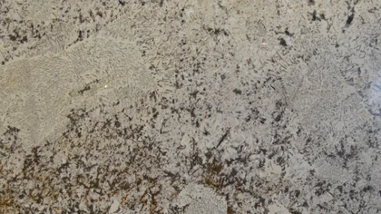 Catalog image for NIVEOUS WHITE POLISHED ME QUARTZ 3CM