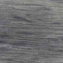 Platinum Gray