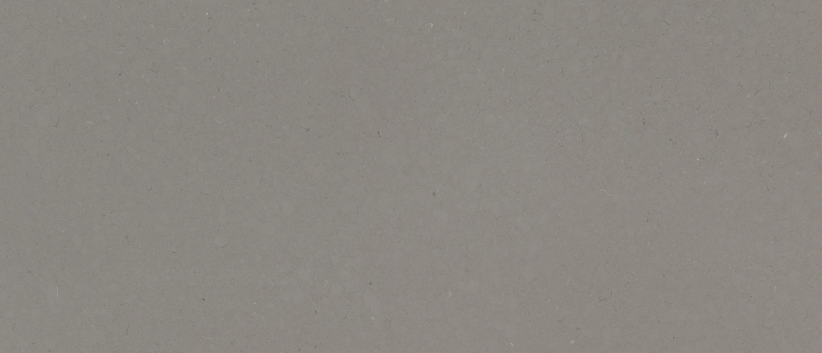 Fossil Gray Quartz Sample